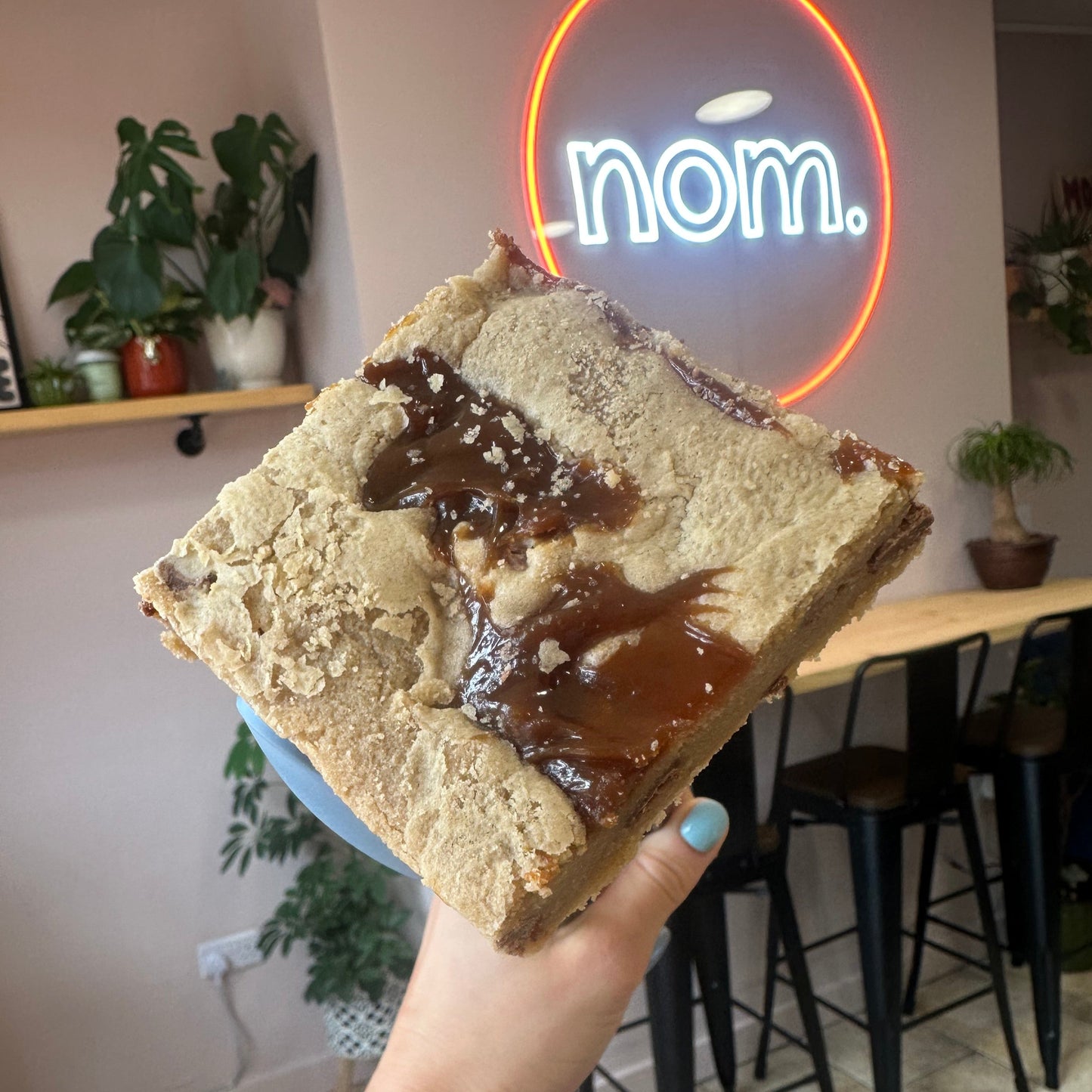 Rolo Blondie